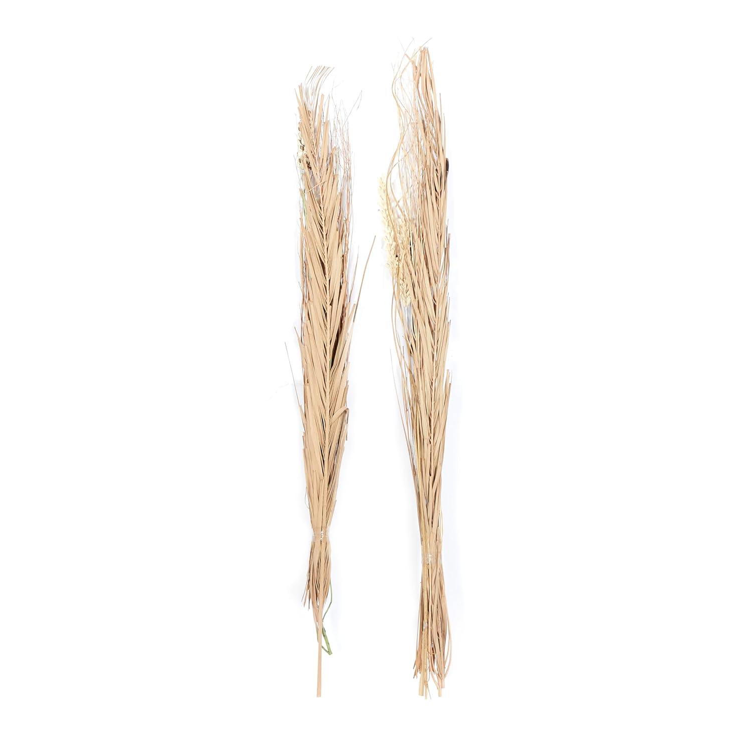 57" Dried Plant Natural Foliage Pigeon pea Bouquet, by DecMode (2 Count)