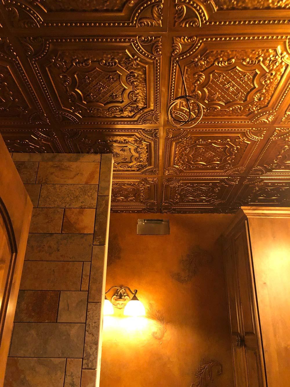 Elizabethan Shield 2 Ft. X 2 Ft. Drop-In Or Glue-Up PVC Ceiling Tile (Set of 25)