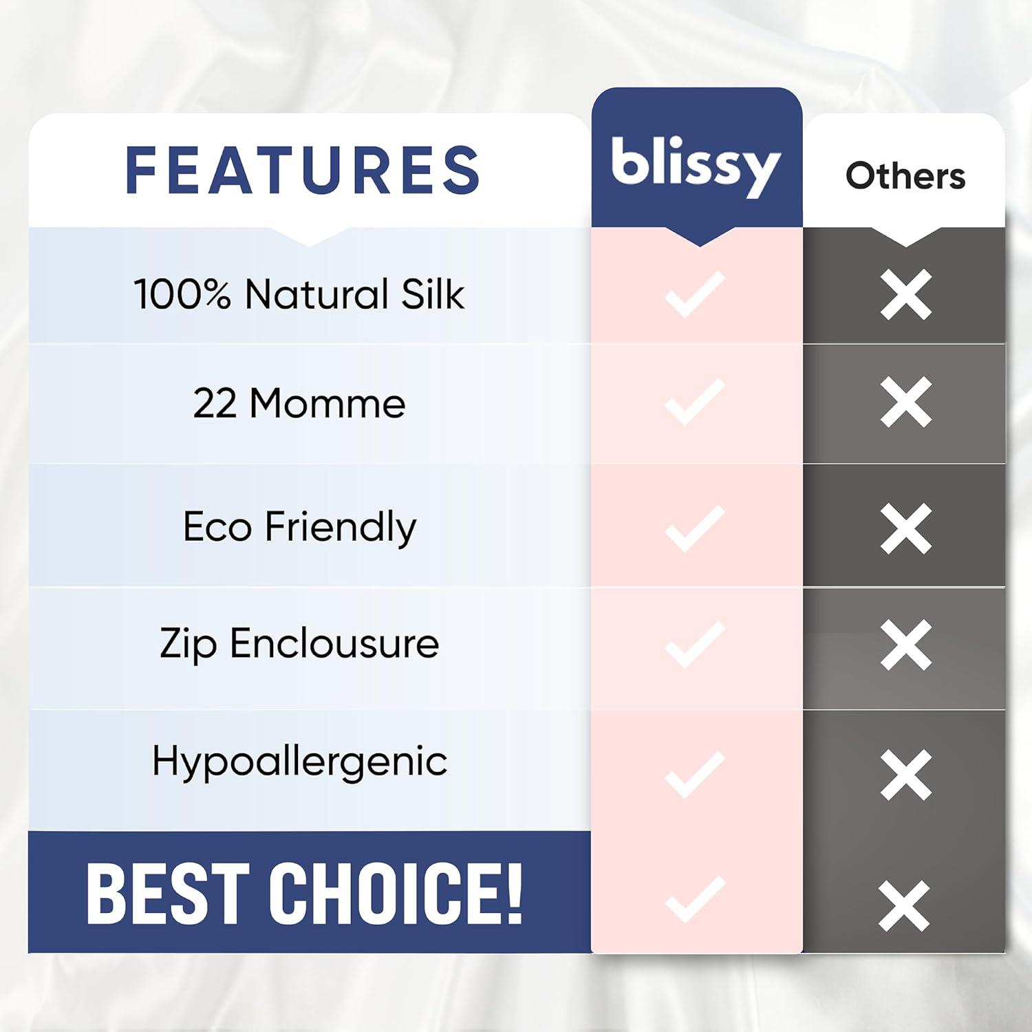 Blissy Silk Pillowcase - 100% Pure Mulberry Silk - 22 Momme 6A High-Grade Fibers - Silk Pillow Cover for Hair & Skin - Regular, Queen & King with Hidden Zipper (Standard, Pink)