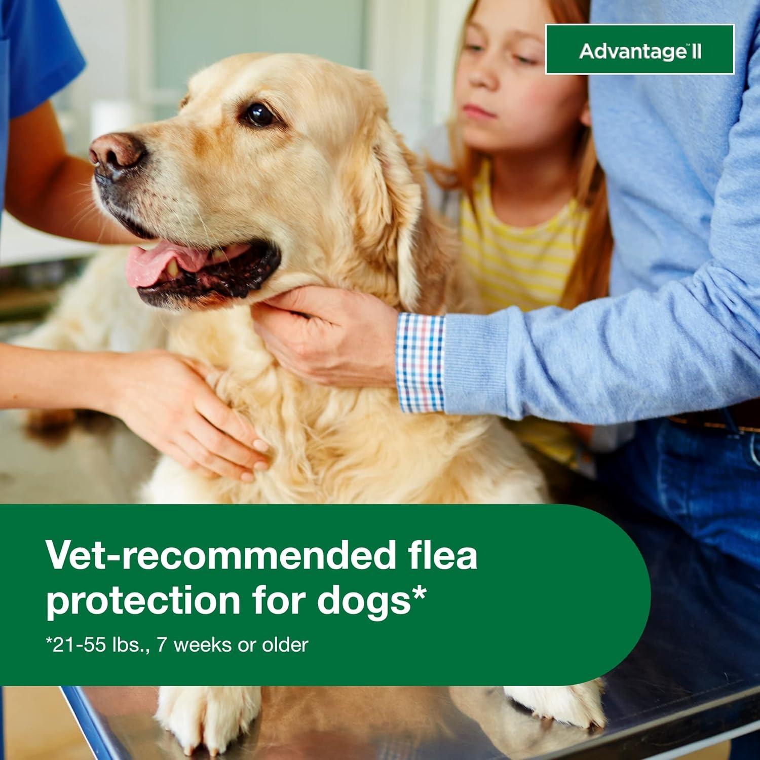 Advantage II Vet-Recommended Flea Prevention for Large Dogs 21-55 lbs, 4-Monthly Treatments