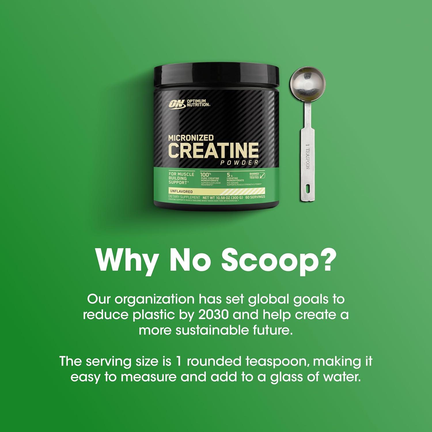 Optimum Nutrition Creatine Sports Nutrition Supplement Powder - 300g: Energy, Dieting, Powder Form