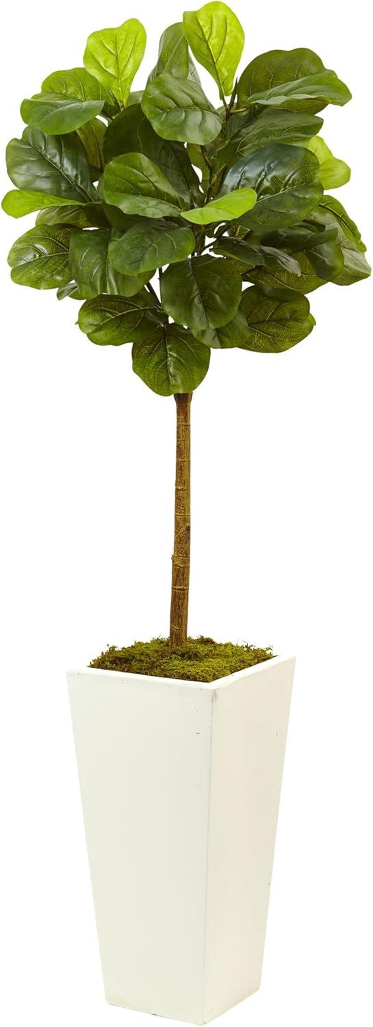 Luxe 5' Fiddle Leaf Fig in White Planter with Integrated Lighting