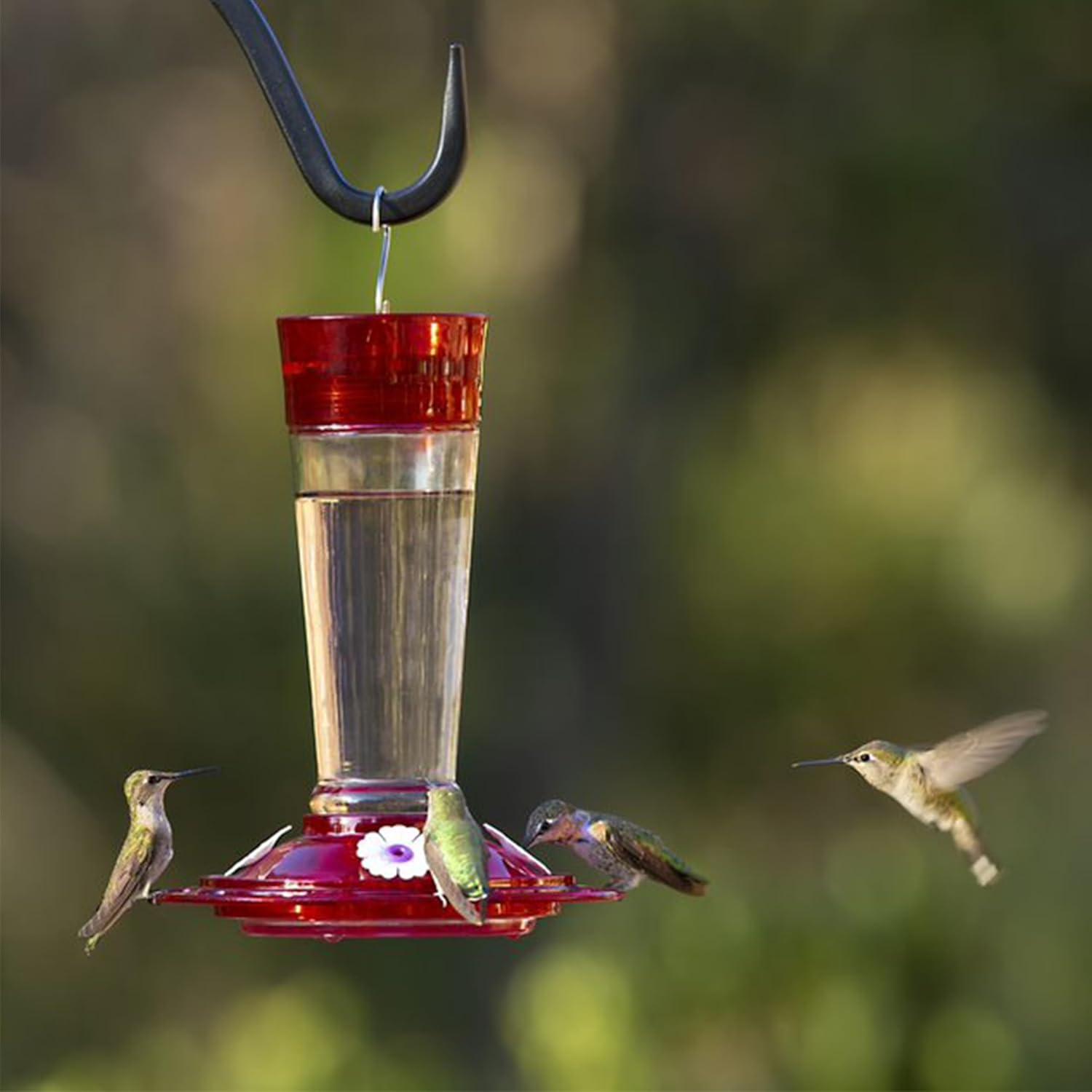 More Birds Red/Clear Bird Health+ Ruby Hummingbird Feeder - 10 Ounces