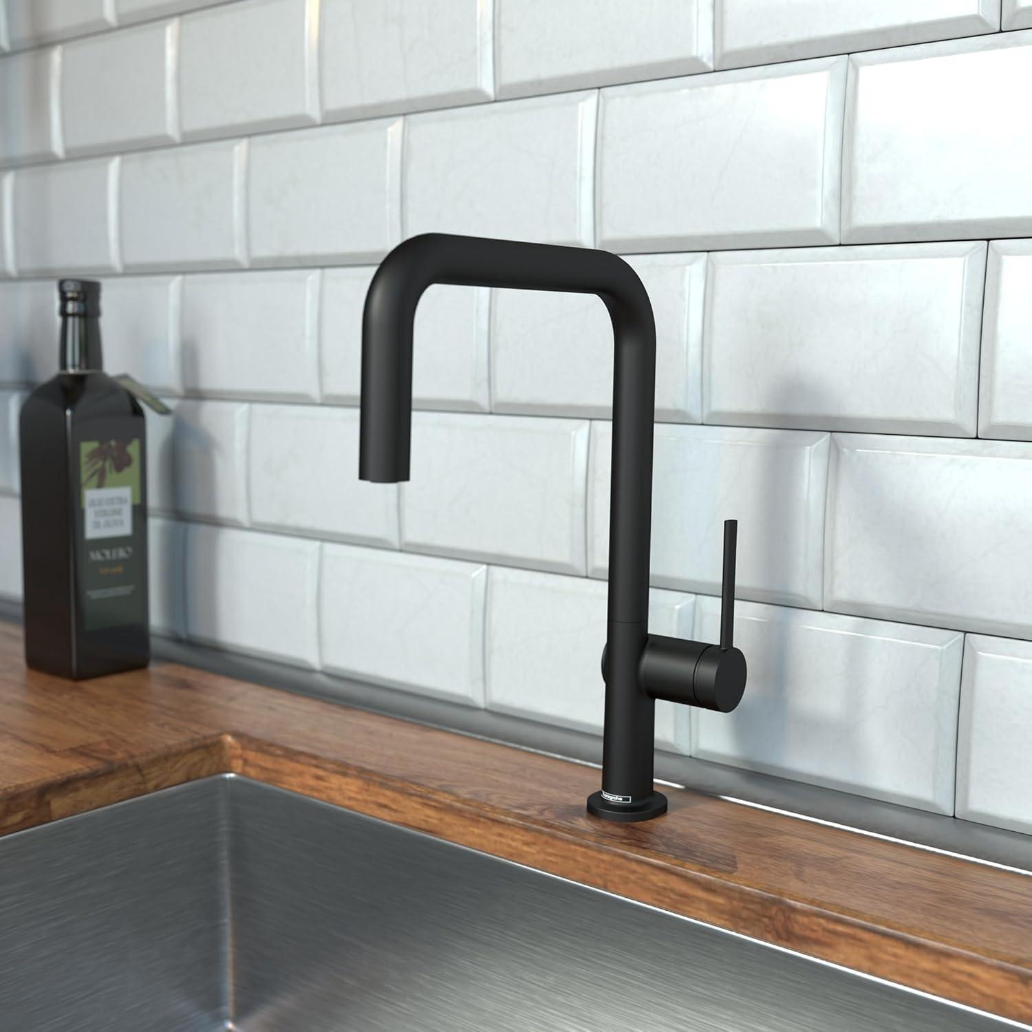 hansgrohe Talis N Kitchen Faucet, U-Style 1-Spray, 1.75 GPM