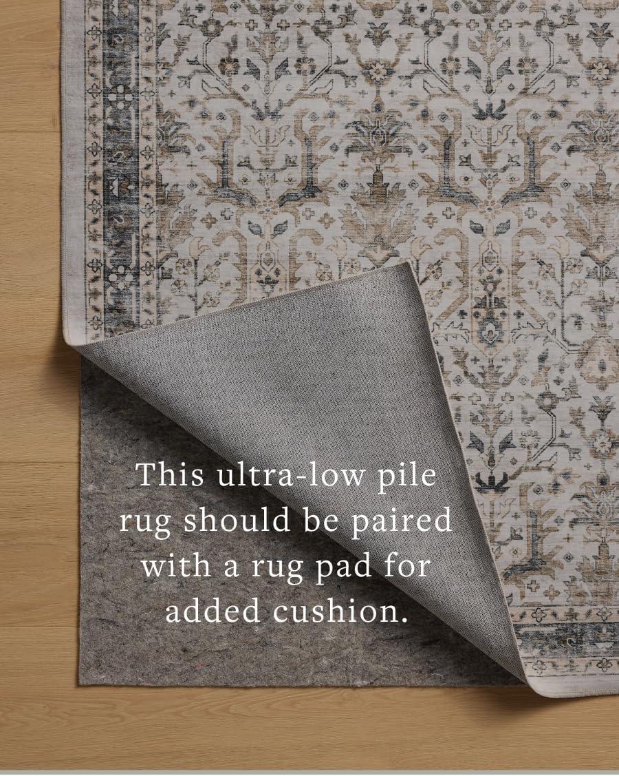 Loloi Anniston Ivory / Stone Machine Washable Area Rug