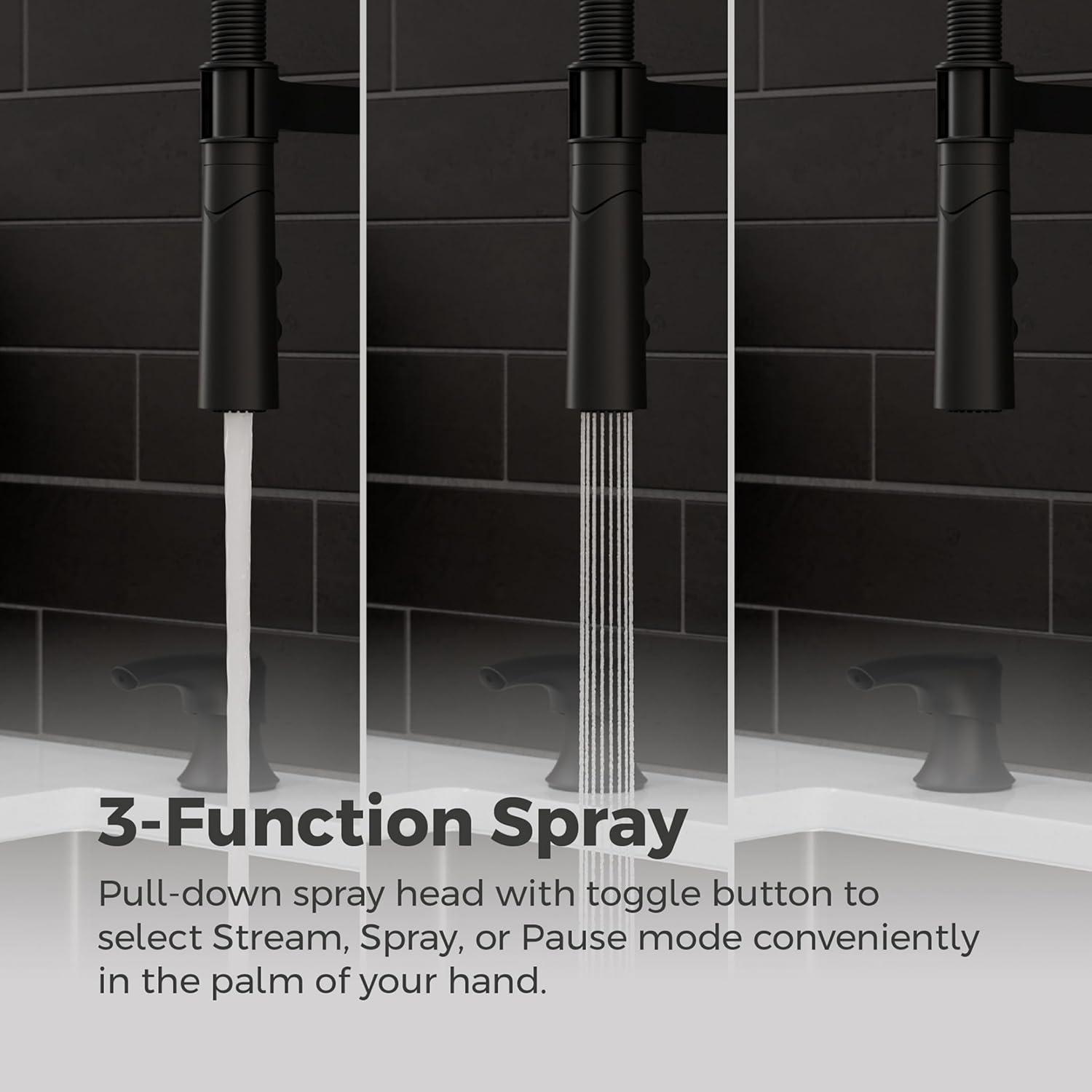 Ceylon Matte Black Pull-Down Kitchen Faucet with Soap Dispenser