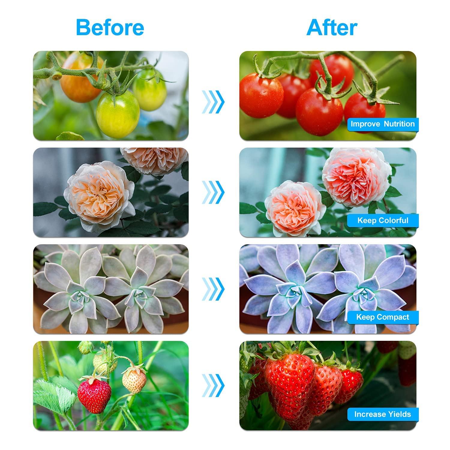 bseah Grow Light Plant Lights for Indoor Plants, Clip-On Full Spectrum Plant Grow Lights, Auto ON & Off Timer 3/9/12H, Dimmable Brightness & 3 Light Modes