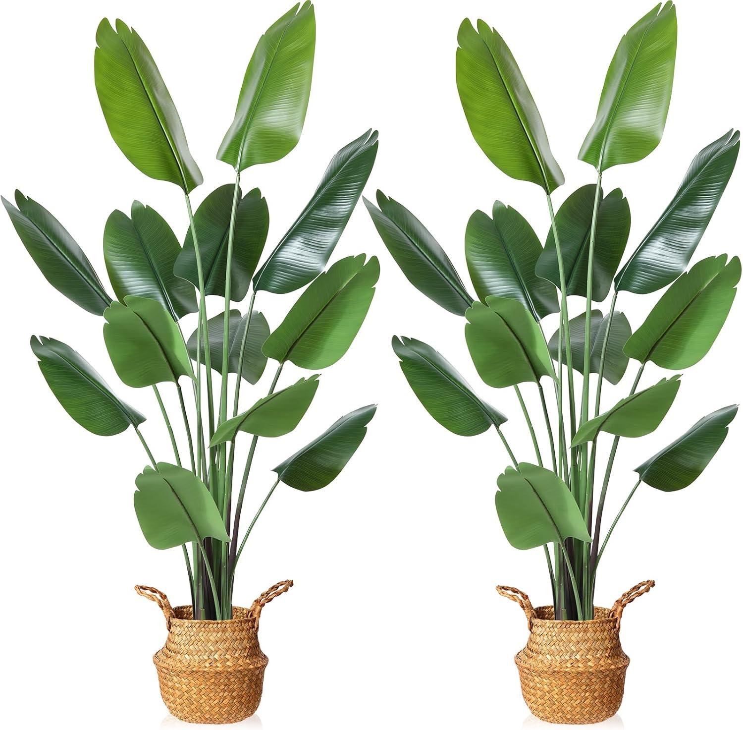 5ft Tall Silk Tropical Palm Tree with Woven Seagrass Basket