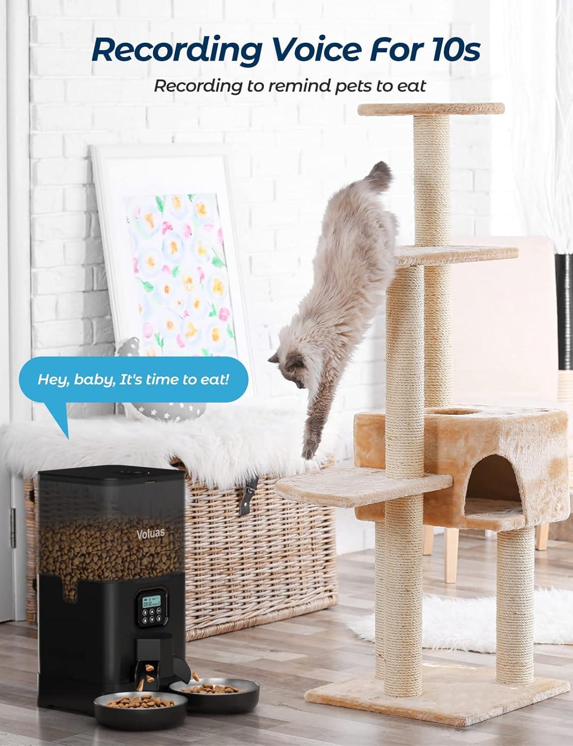 Black Automatic Pet Feeder with Stainless Steel Bowls