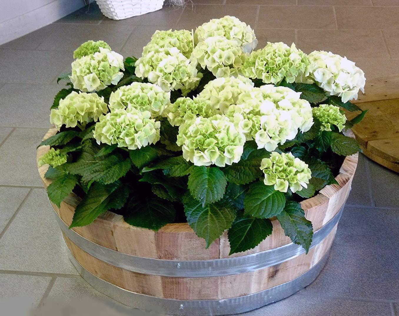 Wood Barrel Planter