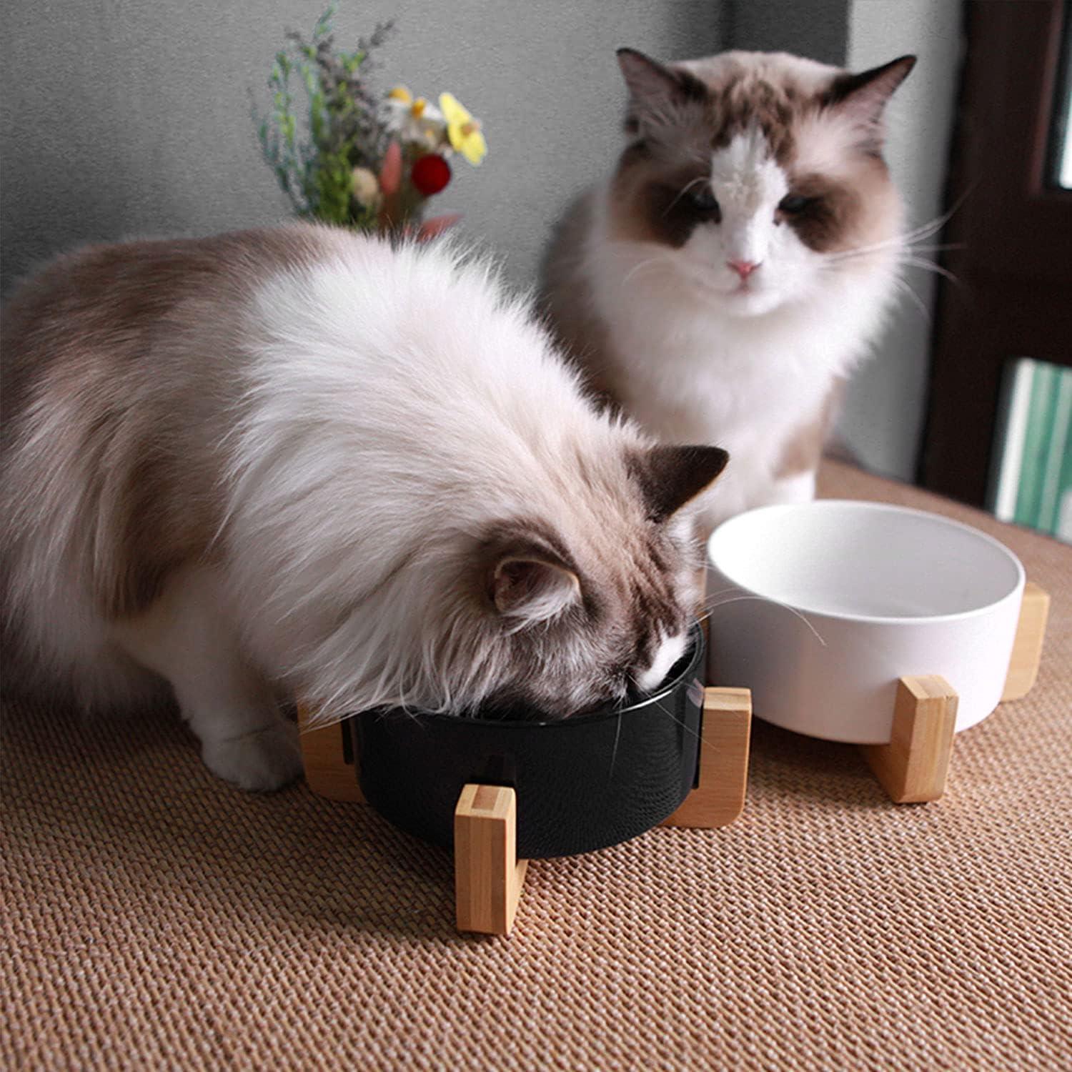 Pet Bowls,Ceramic Cat Dog Bowl Set with Wood Stand for Food and Water,Non-Slip Cute Pet Bowls