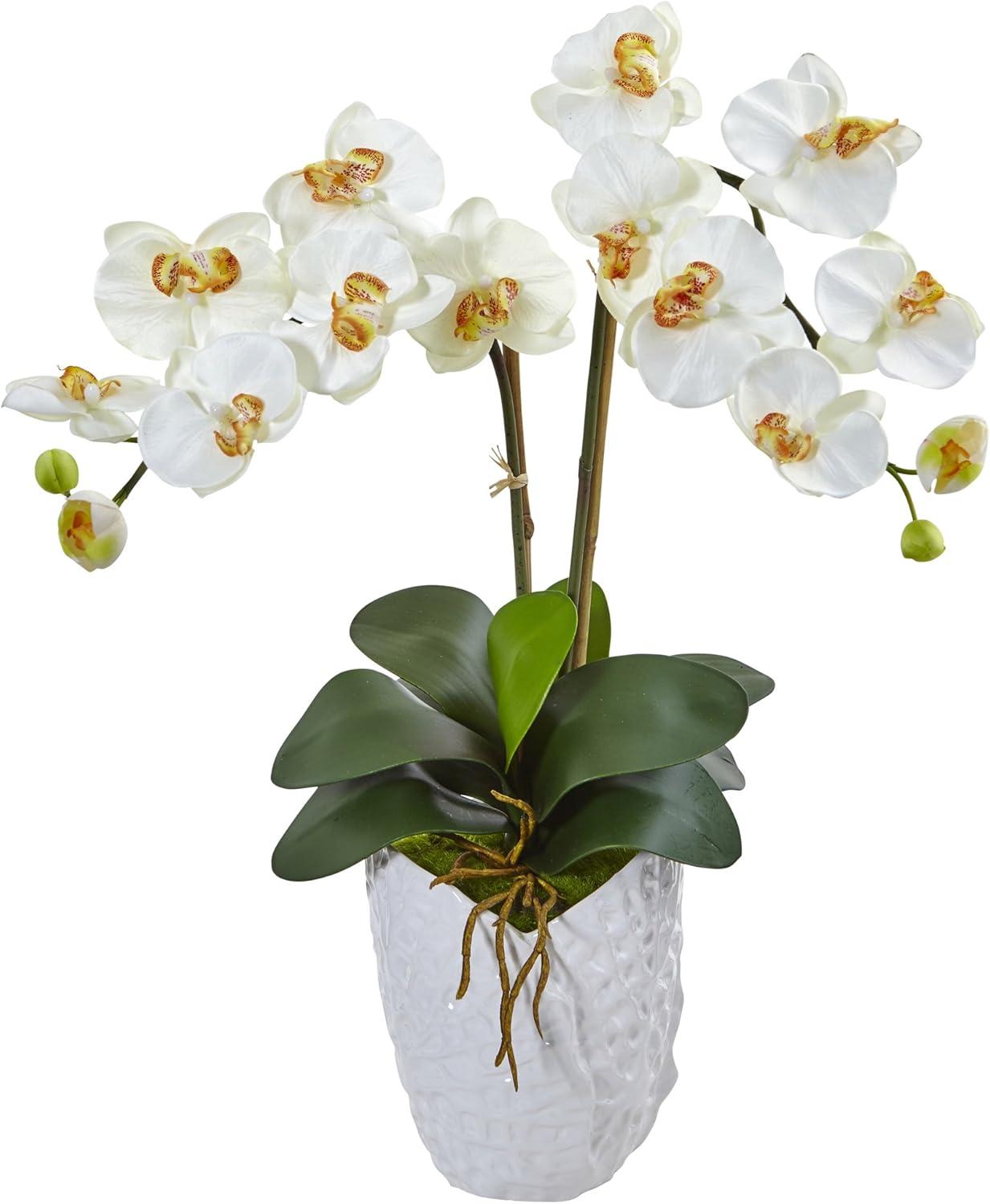 Elegant Faux Double Phalaenopsis Orchid in Black Ceramic Vase