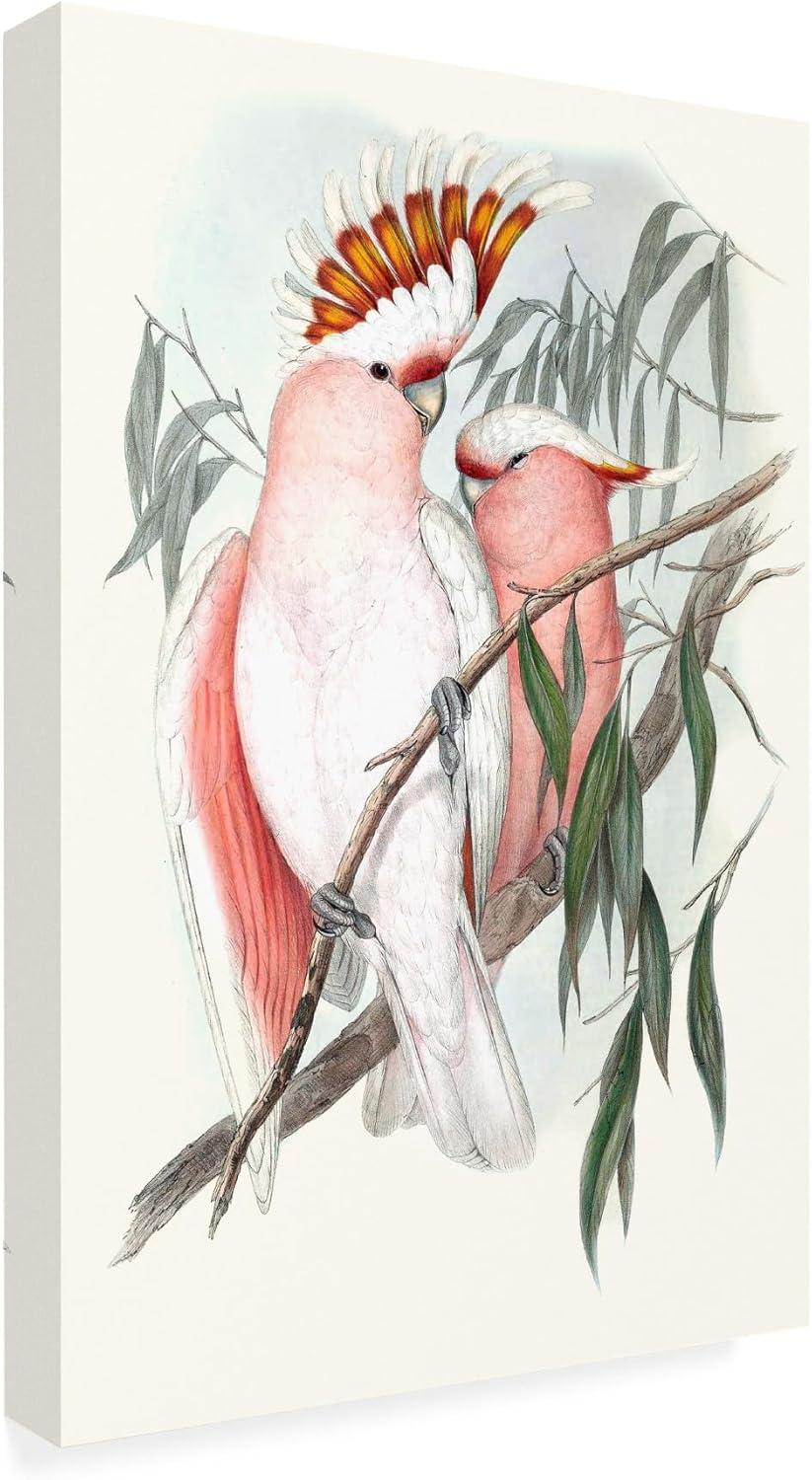 Trademark Fine Art 'Pastel Parrots I' Canvas Art by John Gould