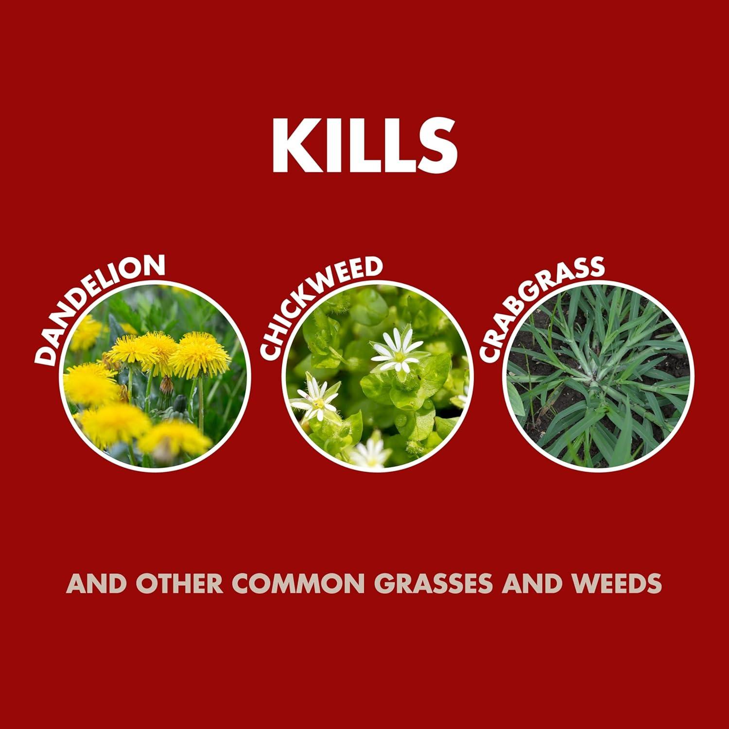 Spectracide Weed and Grass Killer Concentrate 32 oz