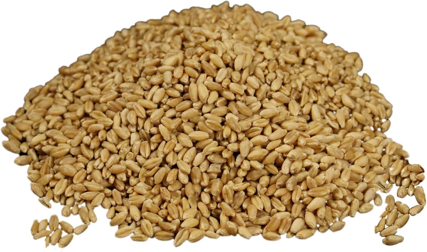 Wheatland Soft White Wheat Berries 23 lbs in Mylar Bucket