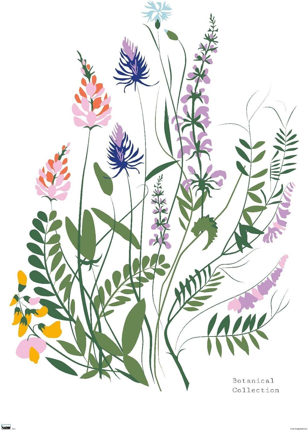Botanical Collection - Wild Flowers Wall Poster, 22.375" x 34"