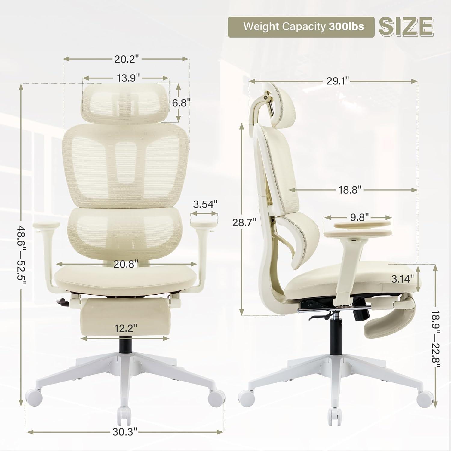 High Back Ergonomic Mesh Office Chair