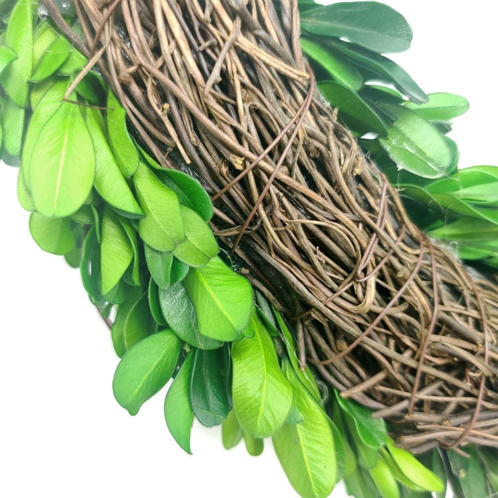 Alby Preserved Boxwood Real Greenery Wreath