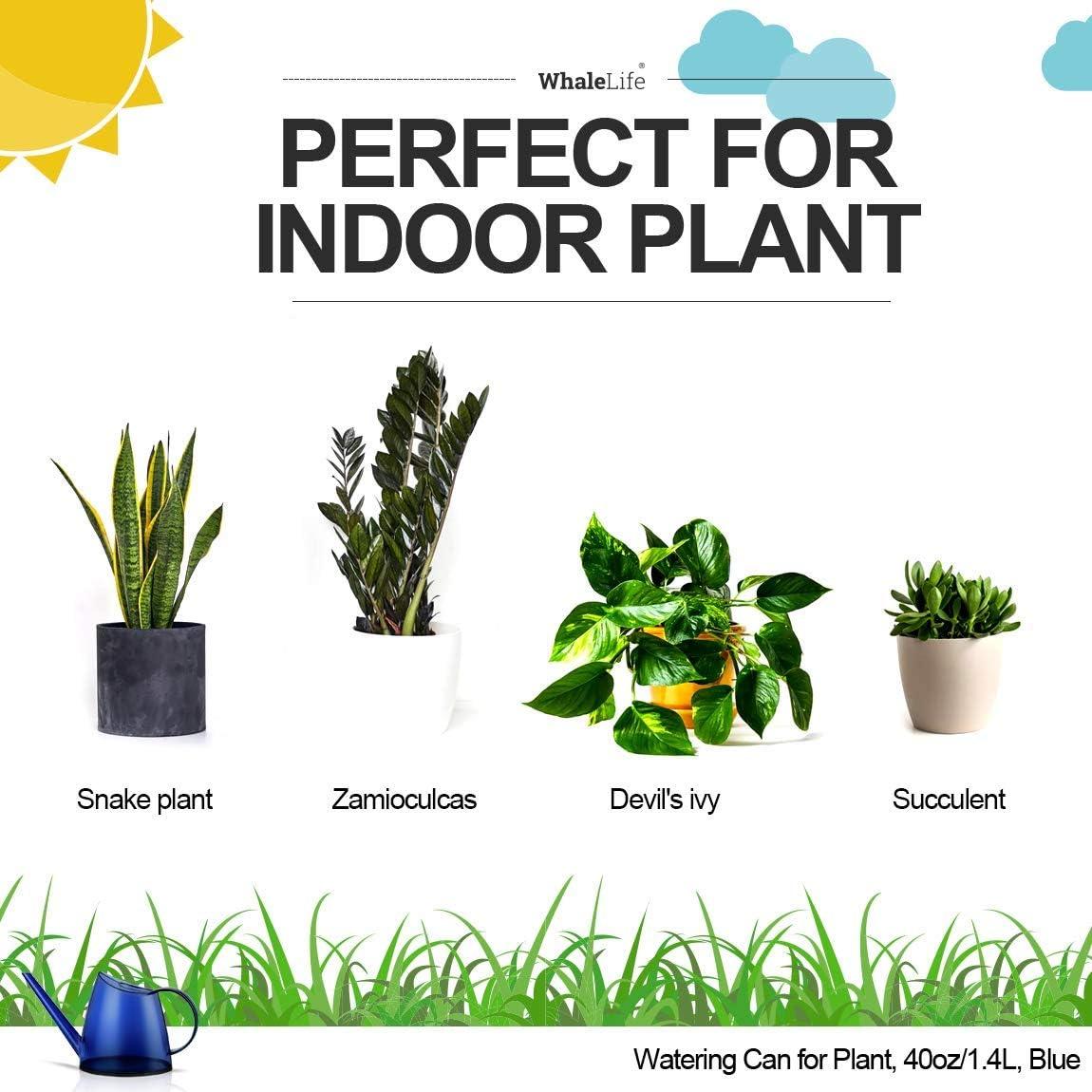 WhaleLife Indoor Watering Can for House Bonsai Plants Garden Flower Long Spout 40oz 1.4L PS Resin Pot (Blue)