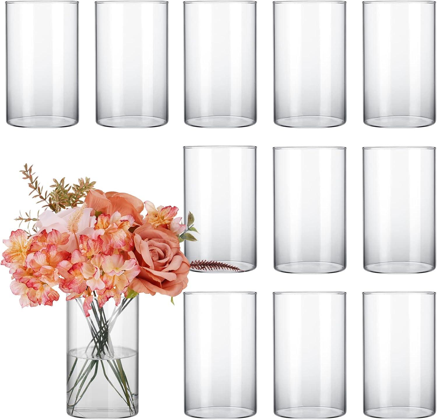 12pcs Glass Cylinder Vases for Centerpieces, Flower Vases Wedding Decorations, 6 Inch Tall Glass Hurricane Candle Holder for Table Shelf, Floral Vase Bulk for Home Decor