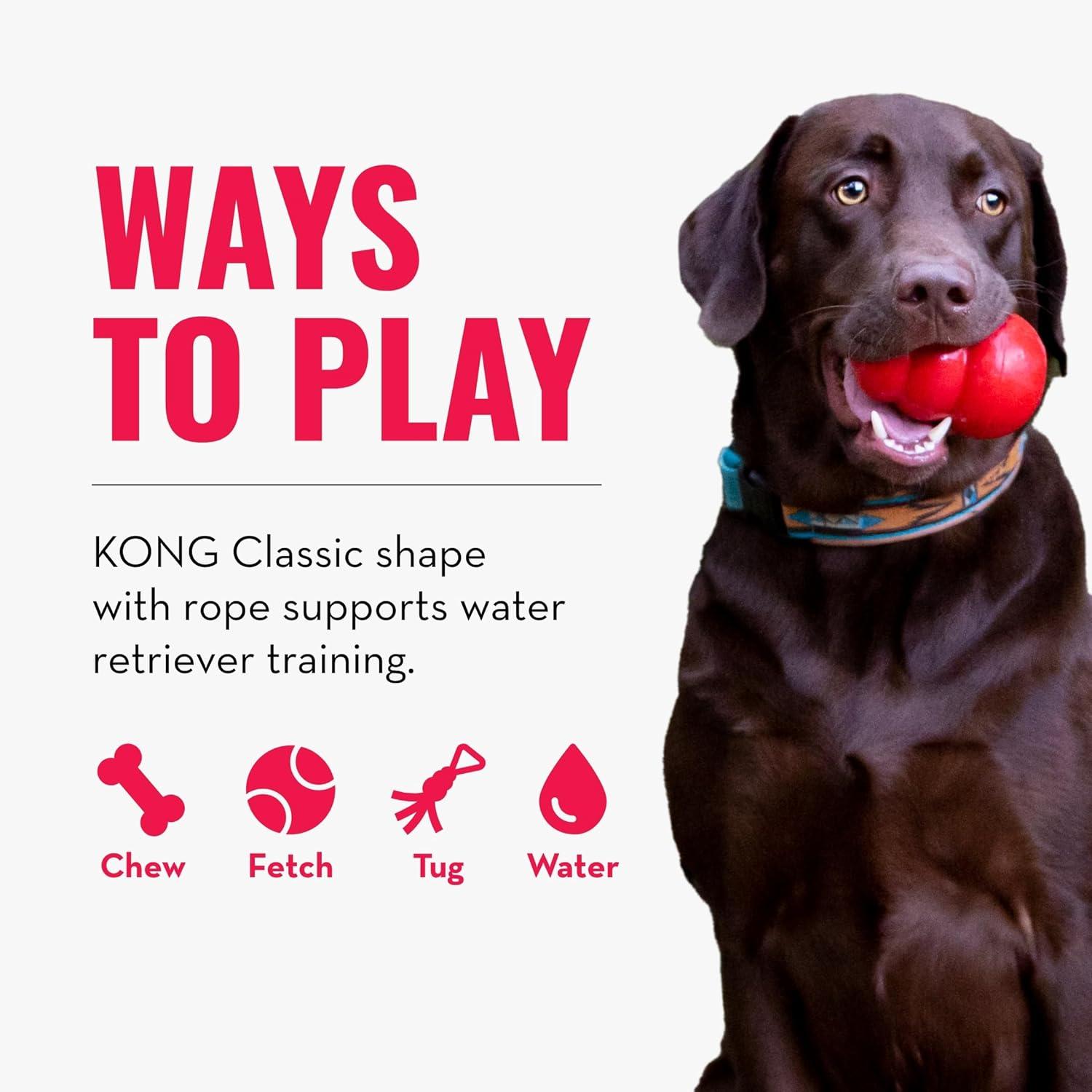 KONG Aqua Retrieval Floating Dog Toy, Orange, Large