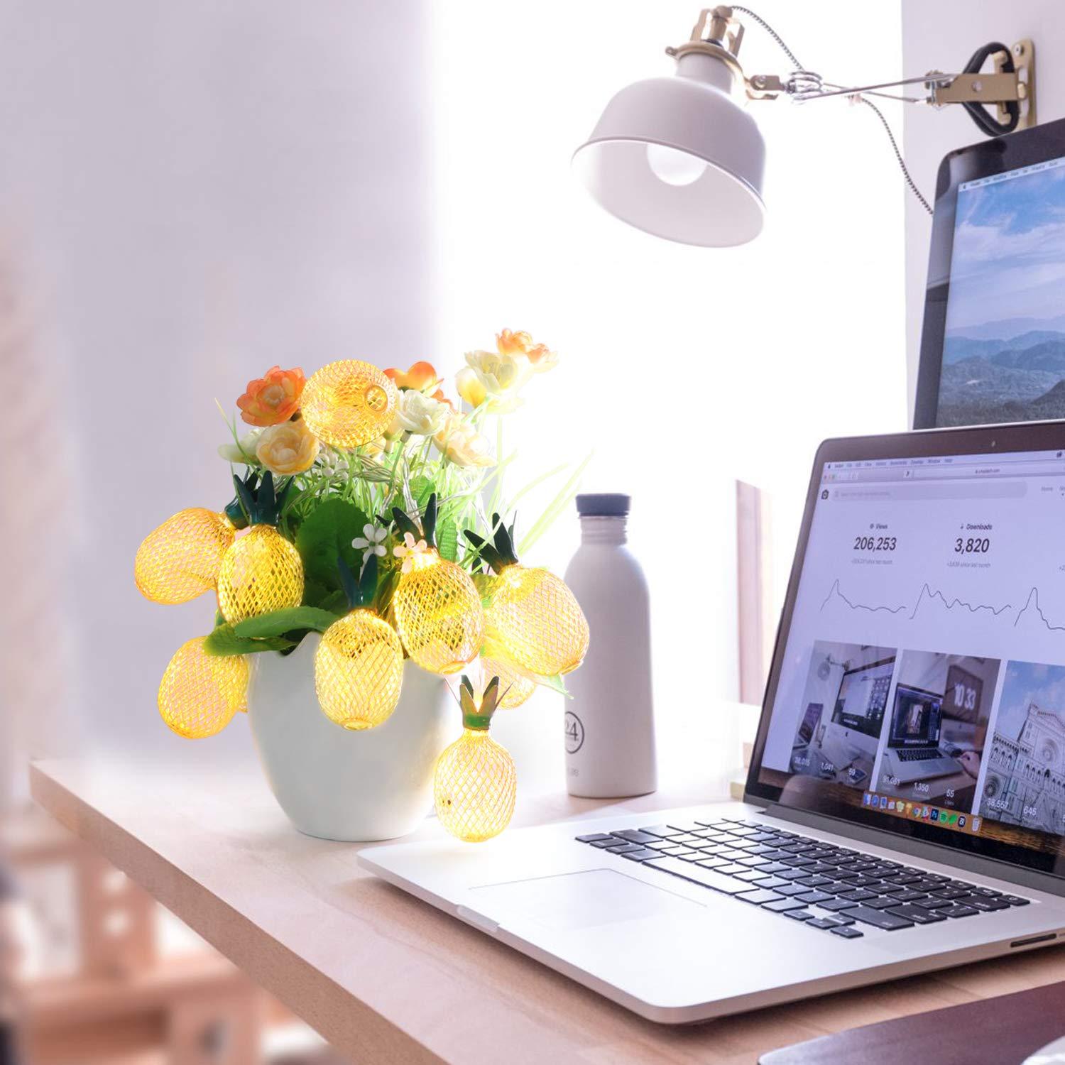 Betus 6.5 Ft 10 LEDs Pineapple Fairy String Light - Decor Gifts Battery Operated (Warm White)