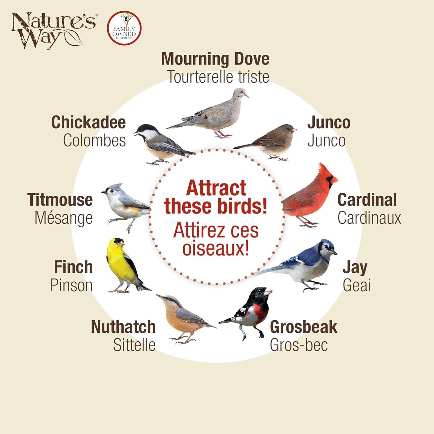 Nature's Way Cedar Tray Bird Feeder: Weather-Resistant Wood, No Assembly, 12x12 Hanging Design