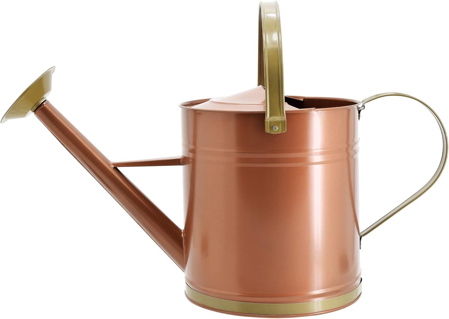 Classic Bronze Galvanized Metal Watering Can with Shower Wand