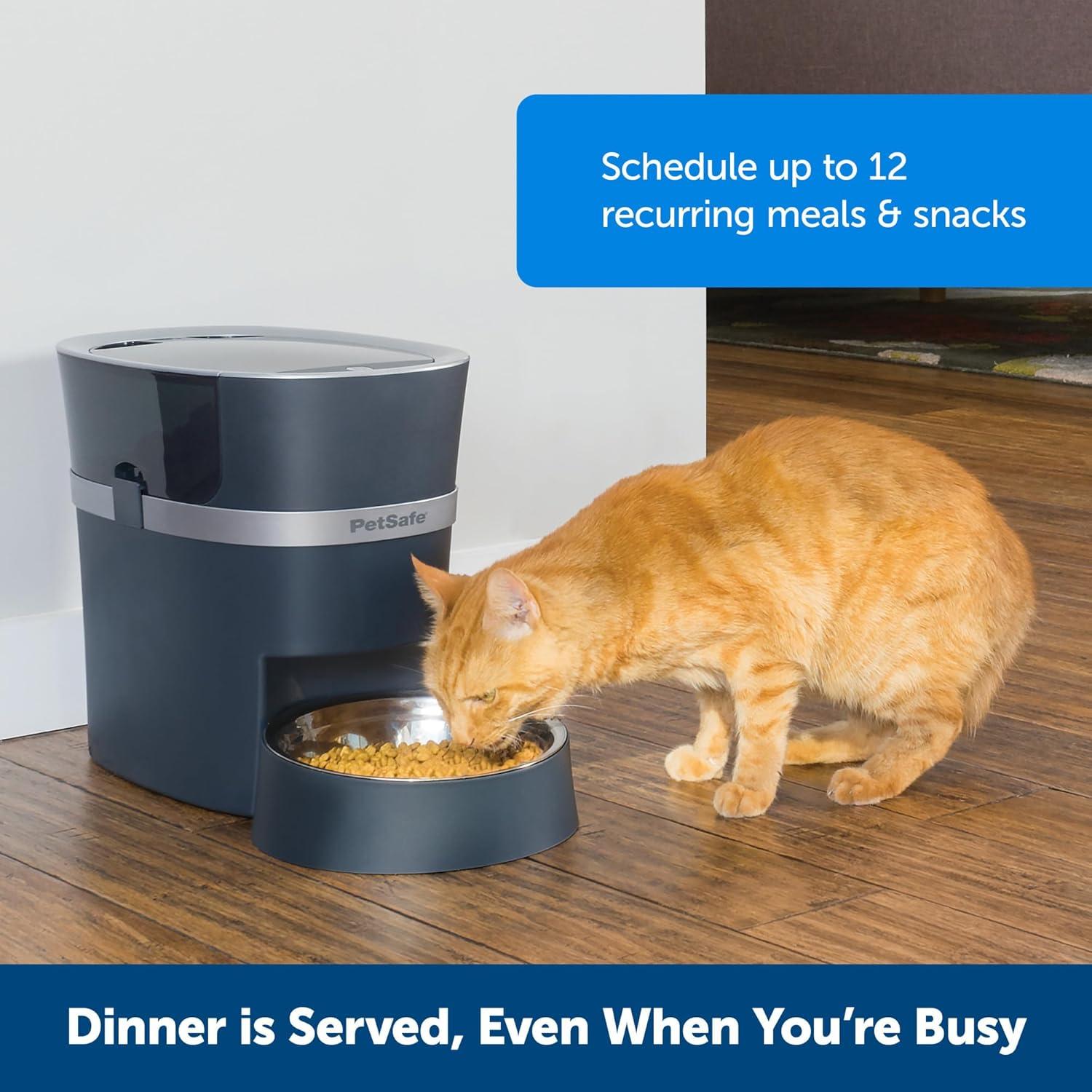 PetSafe Smart Feed Automatic Dog and Cat Feeder - Blue