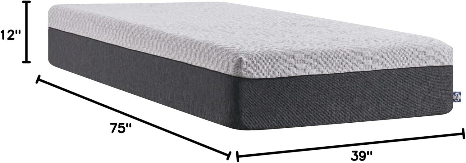Sealy Essentials 12" Twin Gel Memory Foam Mattress-in-a-Box, Adult