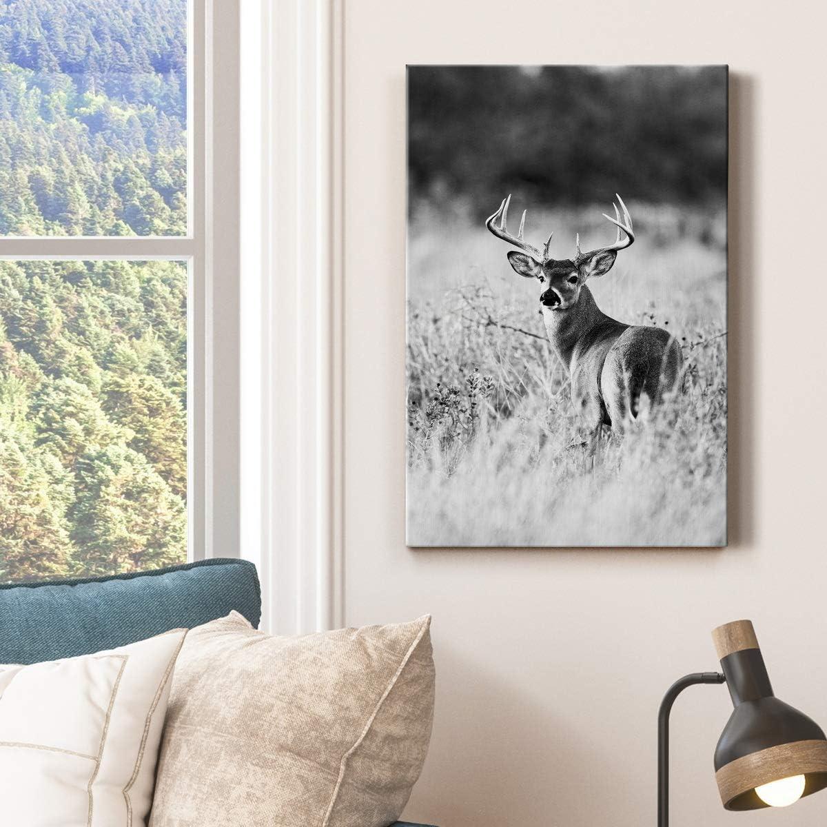 Shadudu Gallery Buck in Field Wall Art, Black & , Animal Artwork, Portrait Decor, Hunting Decorations, Premium Gallery Wrapped Canvas, Ready to Hang, 24x36in