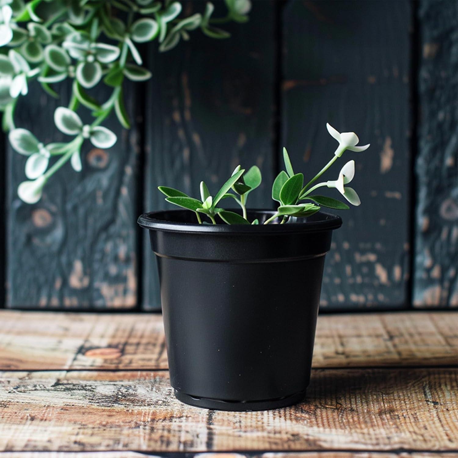 4 5 6 Inch Nursery Pots Variety Pack, 24 Packs Round Flower Pots Decorative Plastic Pots for Plants with Drainage Hole Seed Starting Pots for Seeding, Succulent(4+5+6 Inch, Black)