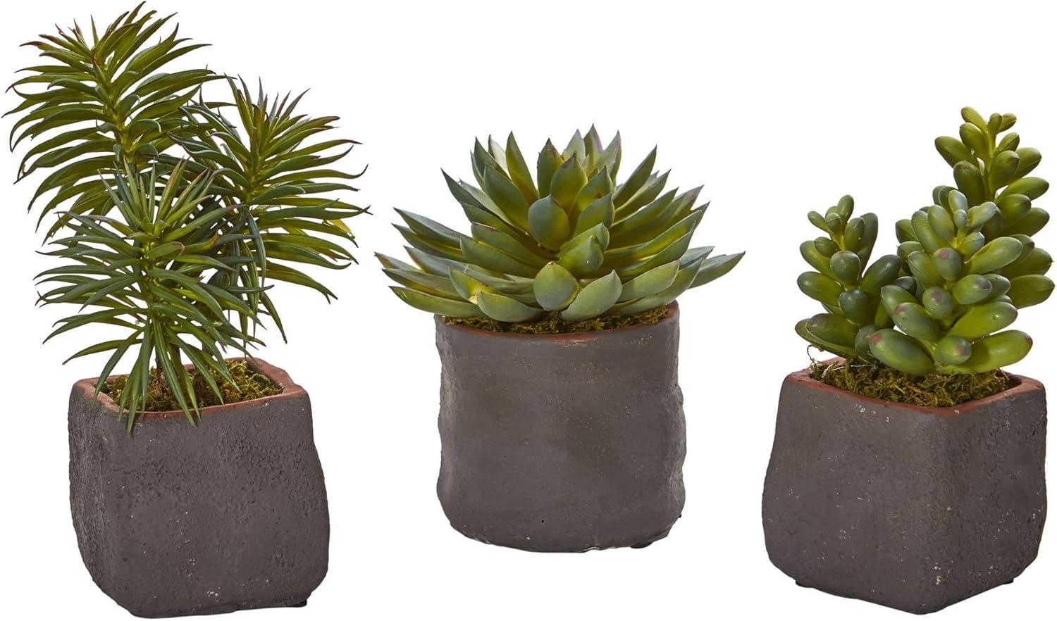 Set of Three Green Faux Succulent Plants in Ceramic Pots