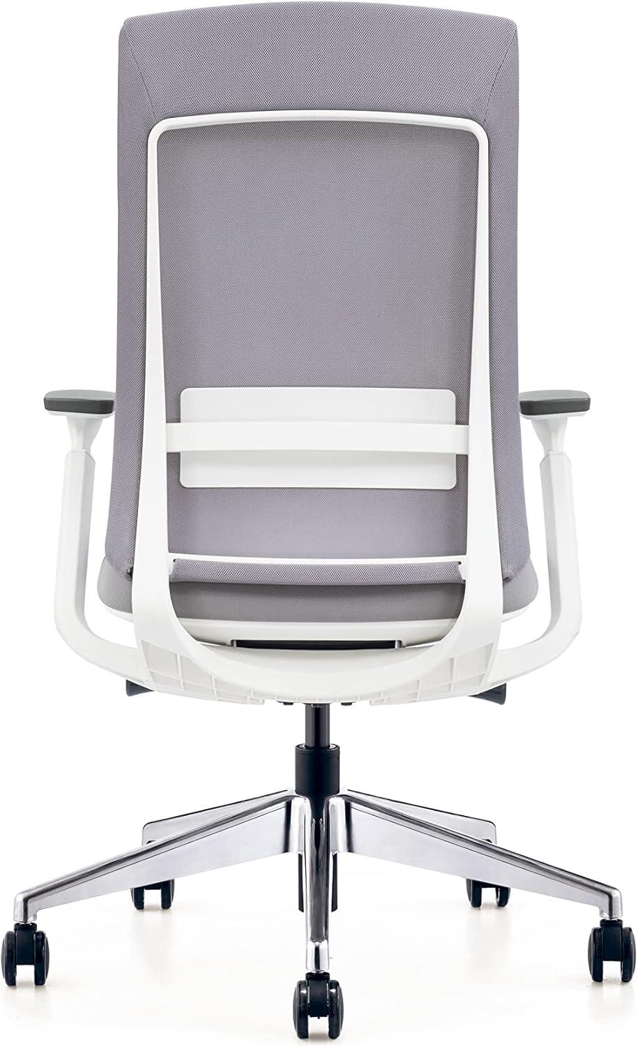 Eurotech Elevate Ergonomic Adjustable Office Chair, White Frame Gray Mesh