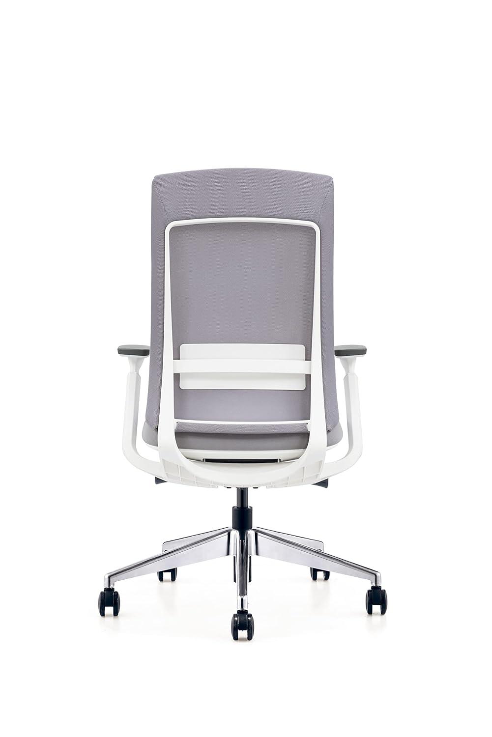 Eurotech Elevate Ergonomic Adjustable Office Chair, White Frame Gray Mesh