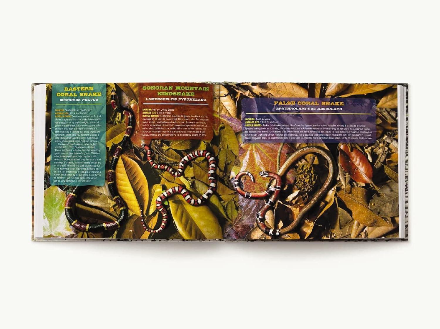 Discovering Reptiles - by  Thomas Nelson (Hardcover)
