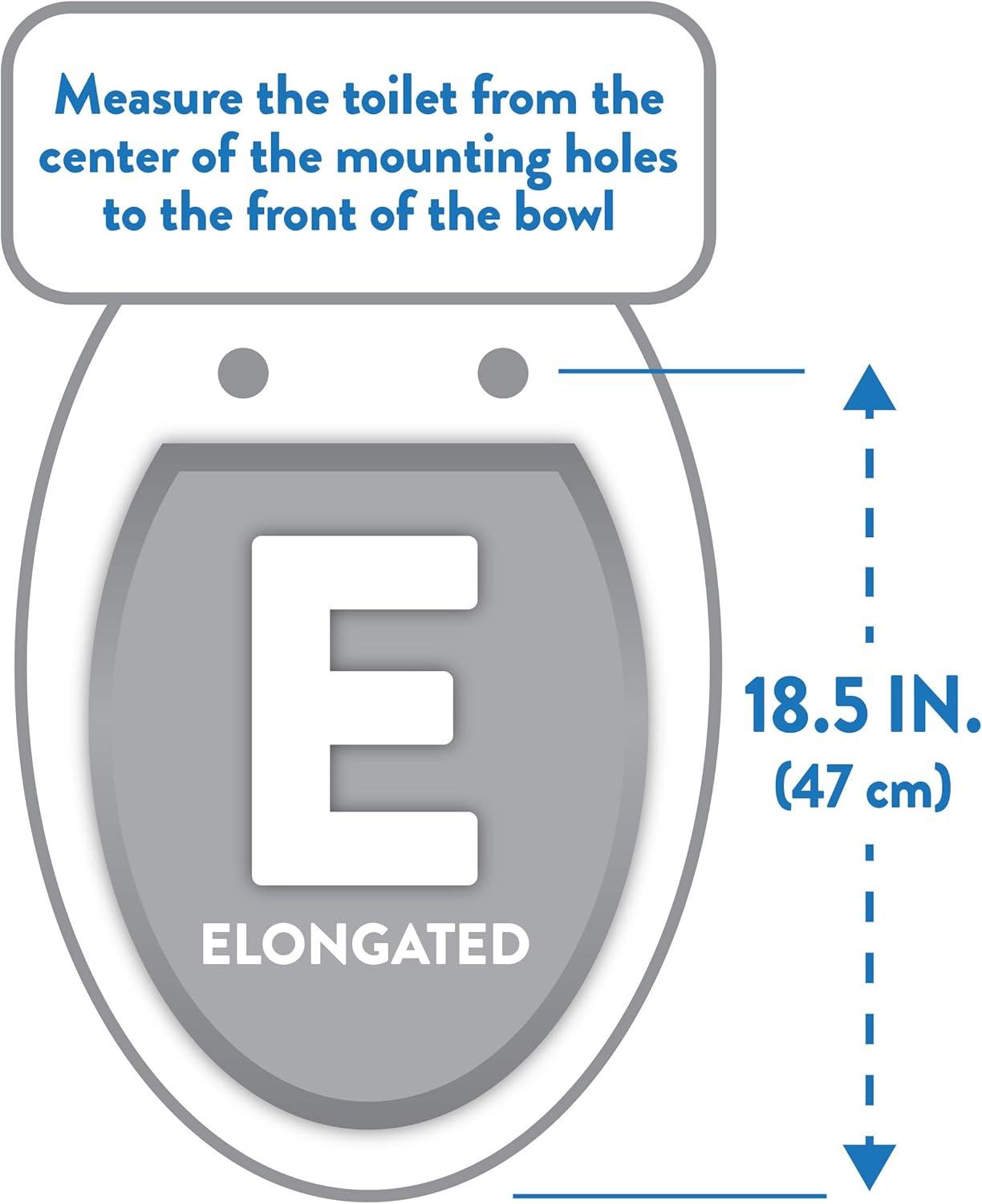 Ginsey Elongated Resin Decorative Toilet Seat with Chrome Hinges, Silver Foil