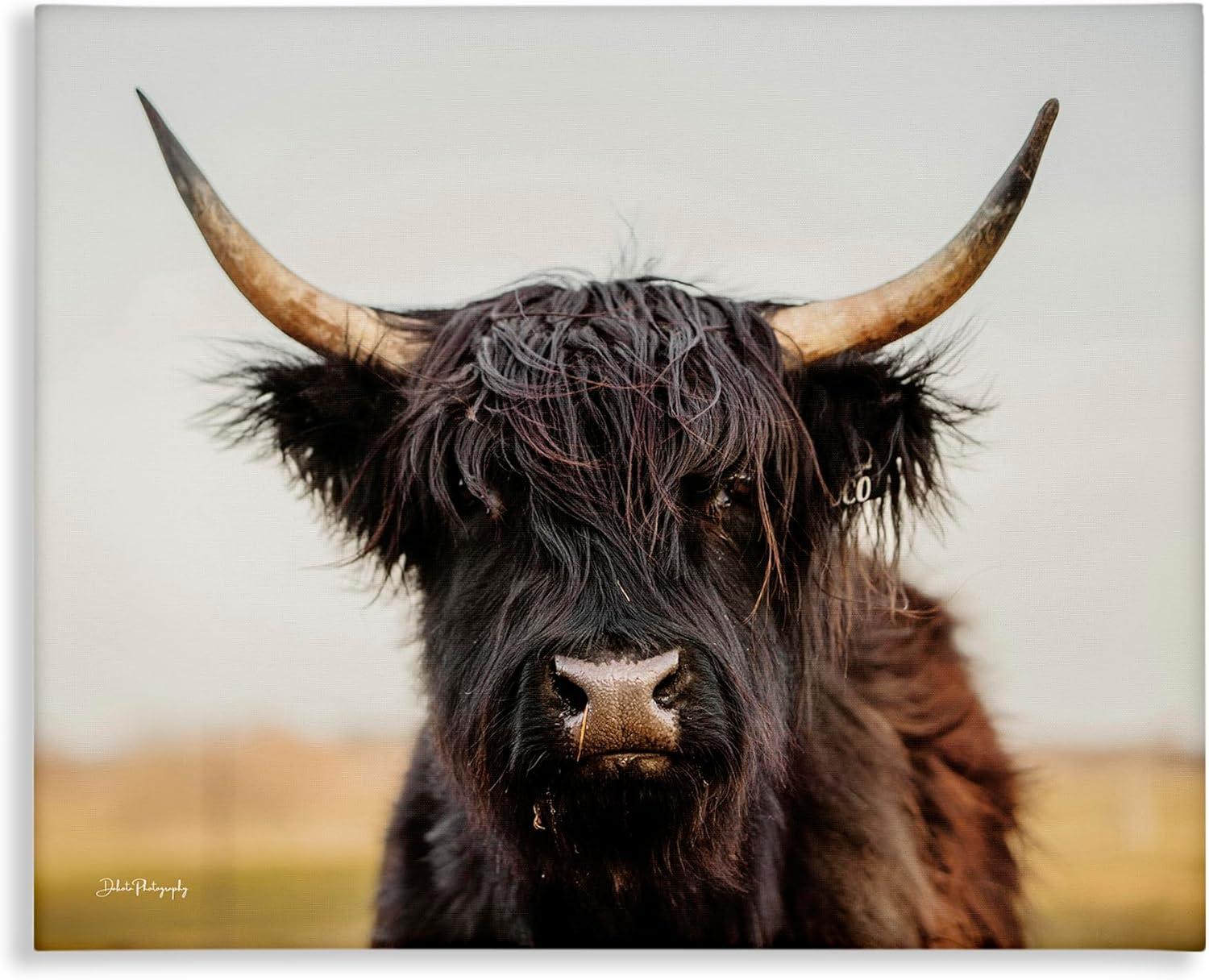 Stupell Industries Black Highland Cow Portrait, 30" x 24"