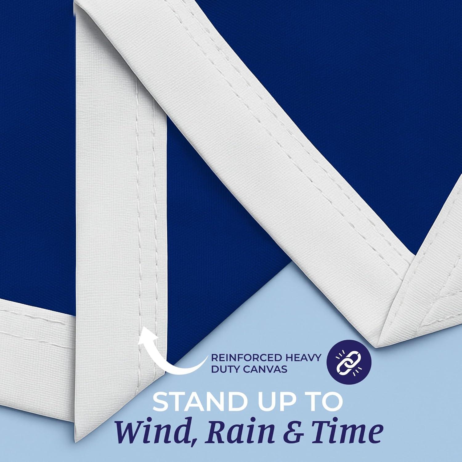 AGAS New Hampshire State Flag 4x6 Ft - Double Sided Reverse Print On Back 200D Nylon - Brass Grommets Stitched Edges Fade Proof Sharp Vivid Colors - State of New Hampshire Flag Banner