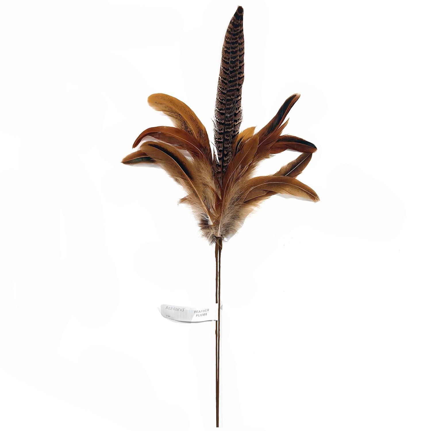 Pheasant Feather Picks by Ashland®