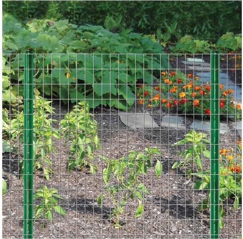 Garden Zone 36 in. H x 50 ft. L Steel Fence