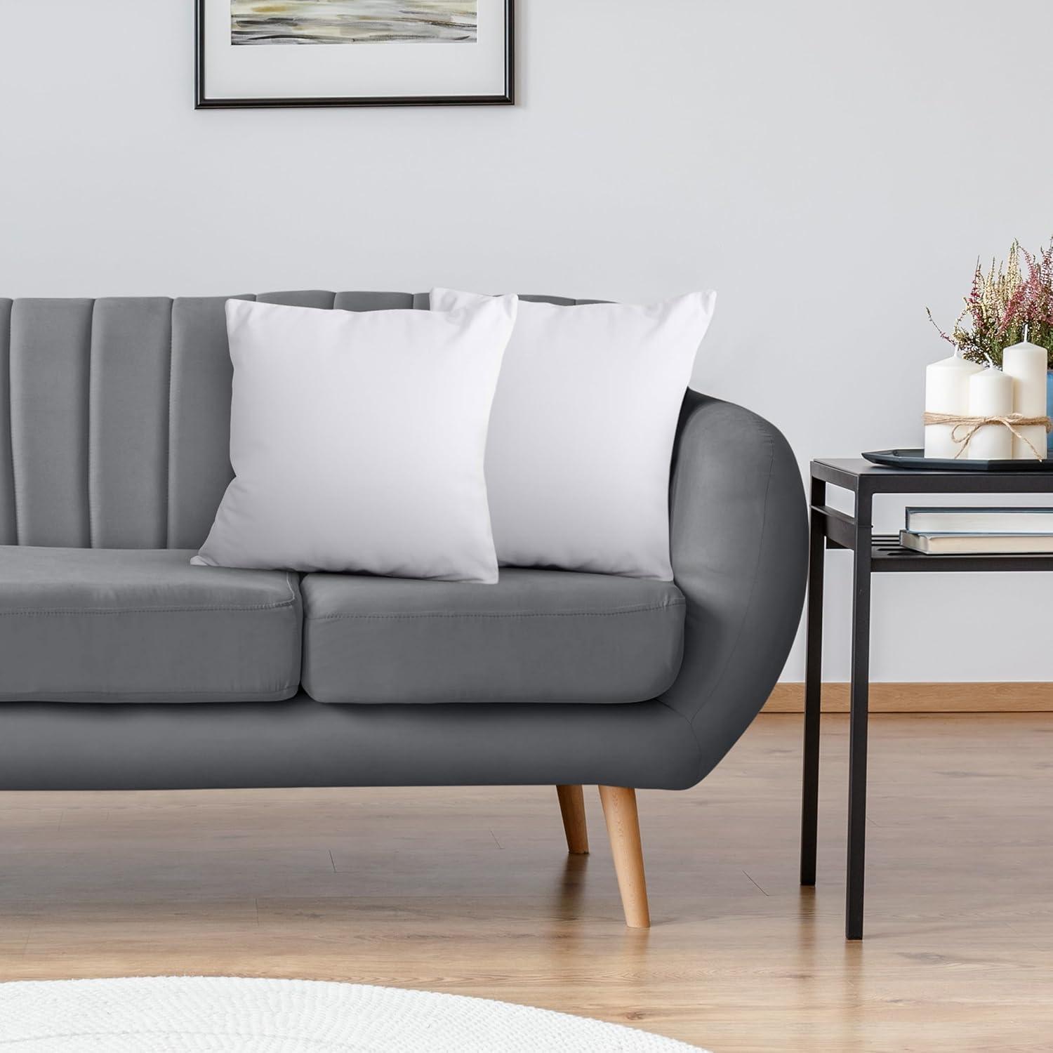 THROW PILLOW, SOFA PILLOW, OUT DOOR PILLOW, COUCH PILLOW, BEDDING PILLOW Inserts (Set of 2, White), 18x18 Inches - Lightweight Fillers for Sofa, Bed, and Home Décor (18x18 Inch (Pack of 2)