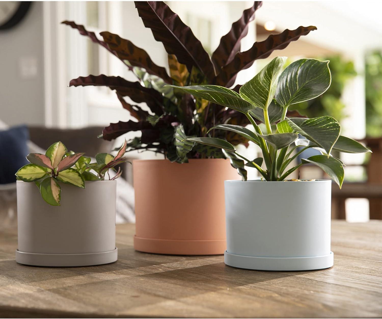 Pebble Stone Beige Round Resin Planter with Saucer