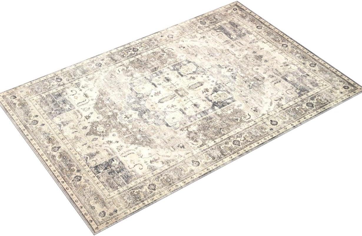 Loloi II Hathaway Printed Oriental Steel / Ivory Area Rug