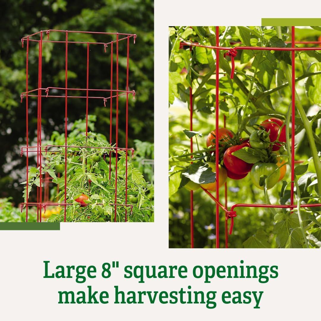 Gardener's Supply Company Single Steel Tomato Cage 32 Inch High - Red