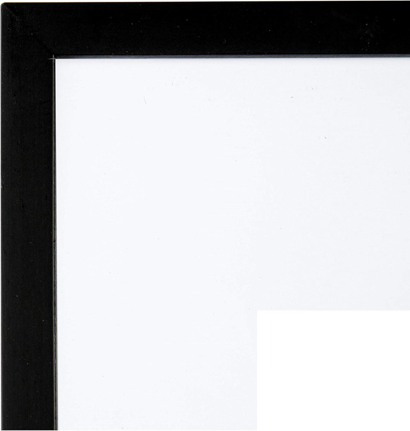 SNAP Wall Picture Frame with Single Mat Picture