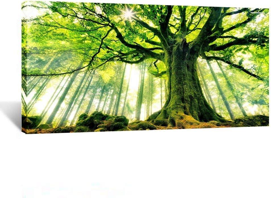 KREATIVE ARTS Canvas Large Art Print Spring Forest Nature Green Big Tree Wall Art Photo Printed on Canvas Framed Artwork for Office Wall Decoration Ready to Hang 20x40inch