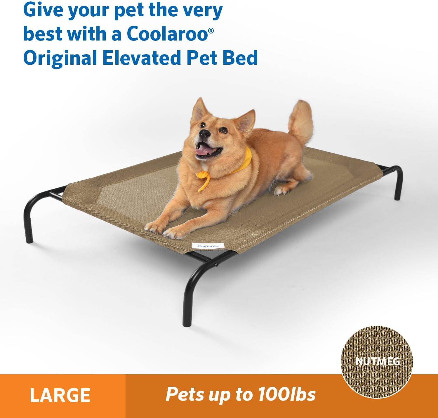 Large Nutmeg Elevated Orthopedic Outdoor Dog Bed