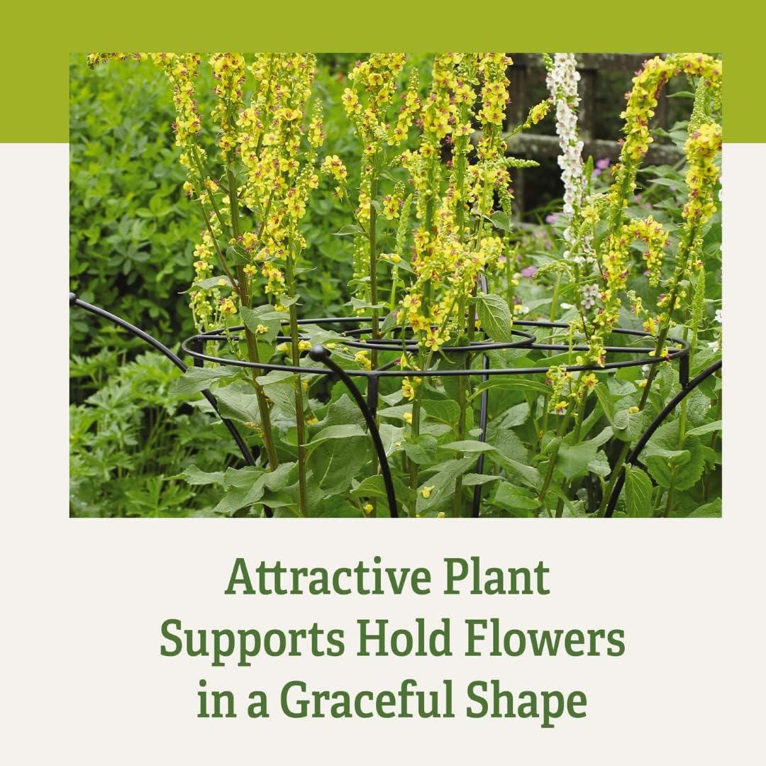 Essex Plant Supports