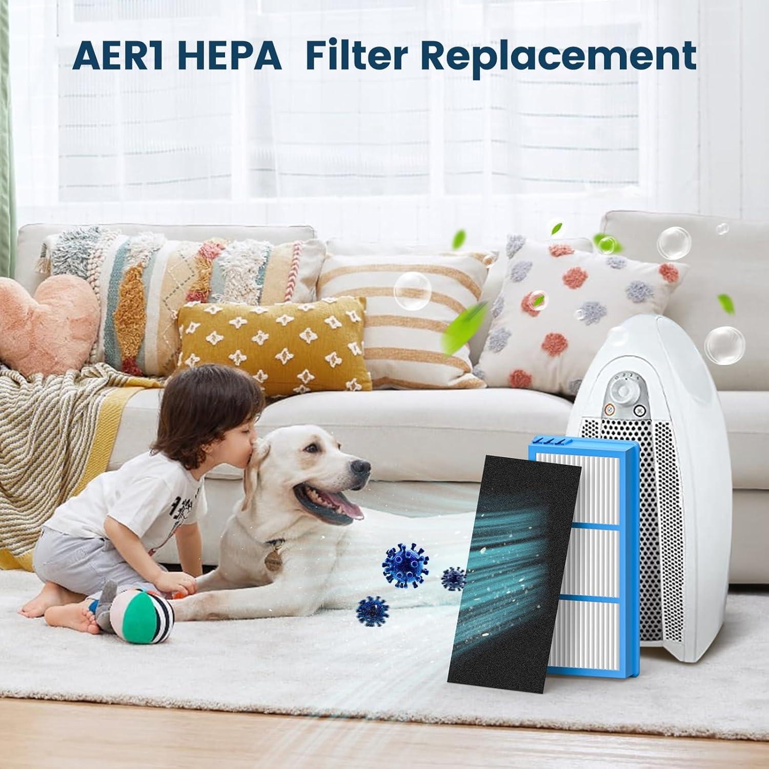 4 HEPA Filters + 8 Carbon Booster Filters for Holmes AER1 Type Total Air Filter Replacement Filters for HAPF30AT and HAP242-NUC